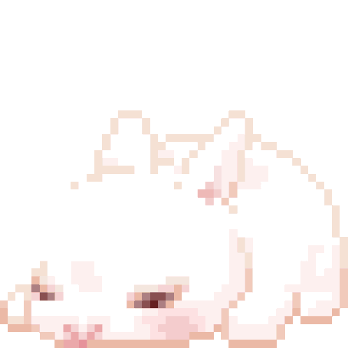Conejo animado