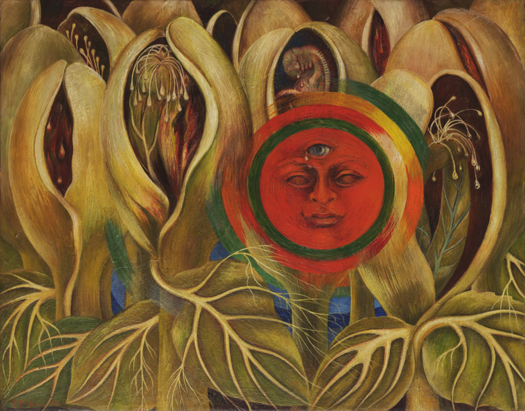 sol-y-vida-1947
